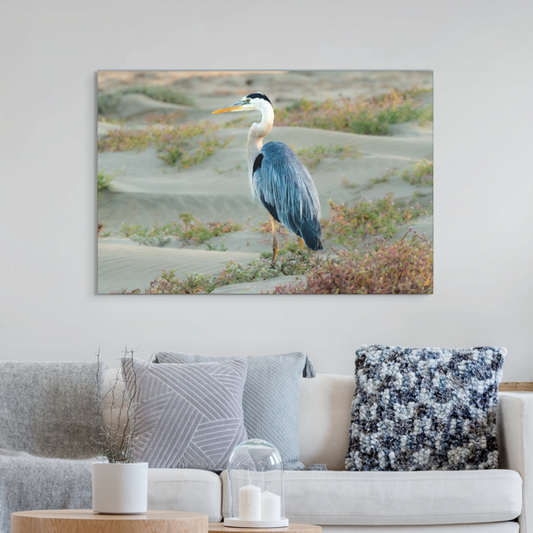 Canvas print of a blue heron standing in the dunes mounted over a sofa.