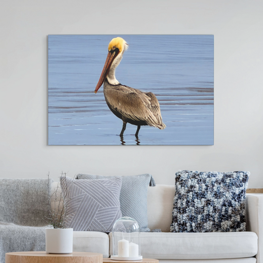 Living room with a canvas print of a brown pelican on the wall