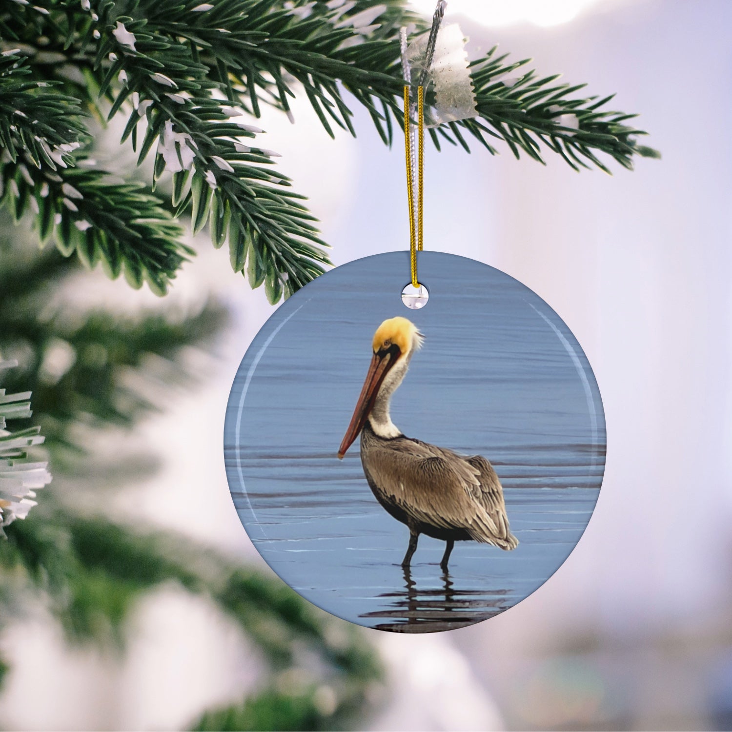 Ceramic holiday ornament featuring a professional photograph of a Brown Pelican standing on the shoreline hanging on a Christmas tree.