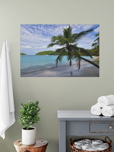 Beach scene with palm tree on wall above a table with a plant and folded towels.