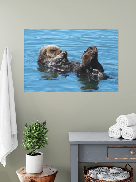 A sea otter swimming in water on a wall art print above a table with a plant and folded towels.
