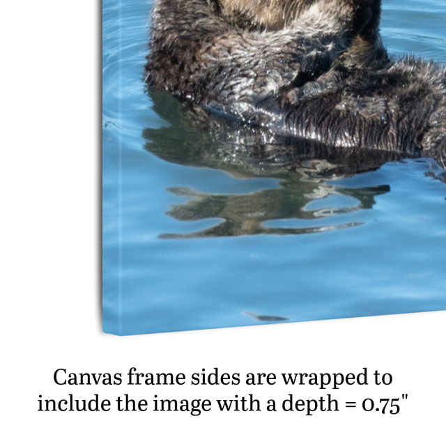 Canvas print of a bird in water with text about canvas depth.