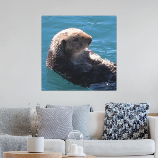 Canvas print of an otter in water on a wall above a living room sofa with decorative pillows.