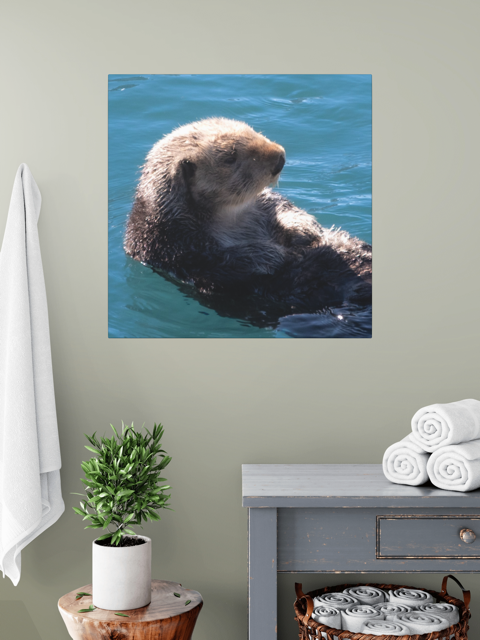 Canvas print of a sea otter in water on a wall above a plant and shelves.
