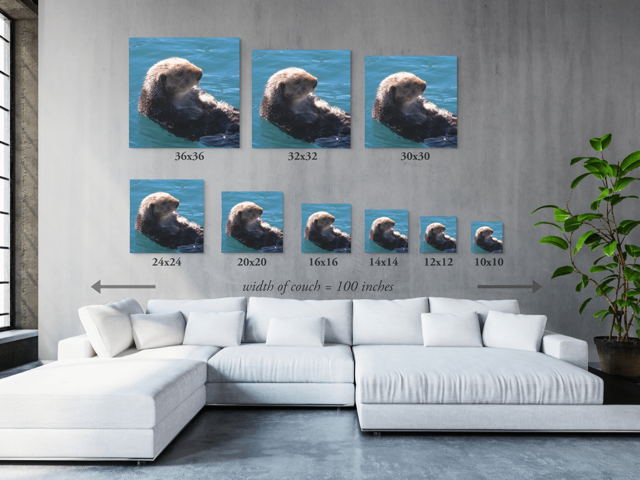 Canvas wall art of a sea otter with size options displayed above a white sofa.