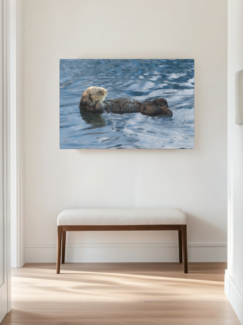 A sea otter canvas print hanging on a wall above a bench.