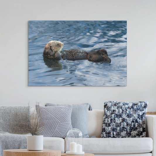 A sea otter canvas print hanging on a wall above a sofa.