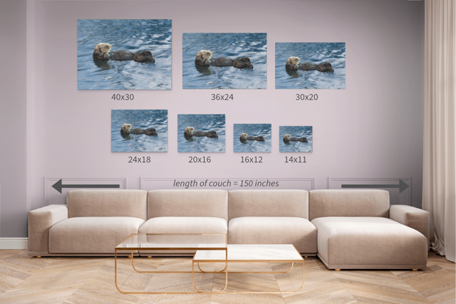 Wall art prints of a sea otter hanging above a beige sofa with size measurements.