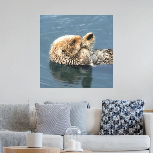 Canvas print of a sea otter in water on a wall above a sofa with decorative pillows.