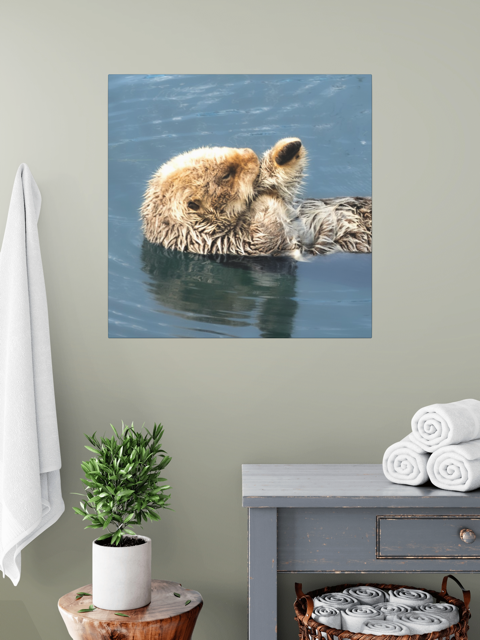 Canvas print of a sea otter in water on a wall above a shelf with towels and a plant.