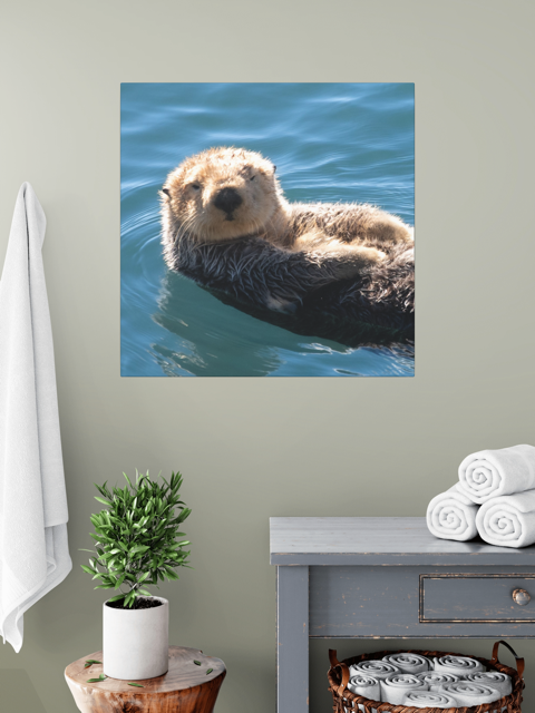 Poster of a sea otter in water on a wall above a shelf with towels and a plant.