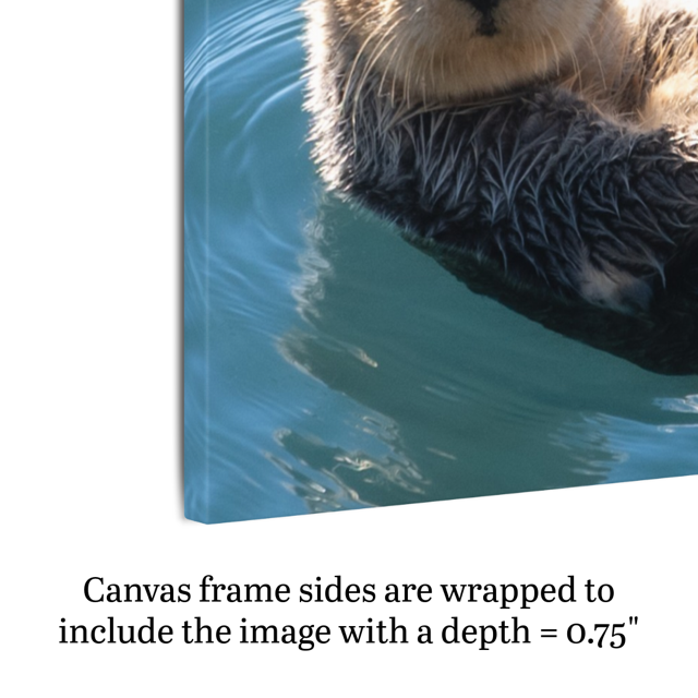 Side view of a canvas print of a sea otter, showing text about canvas depth.
