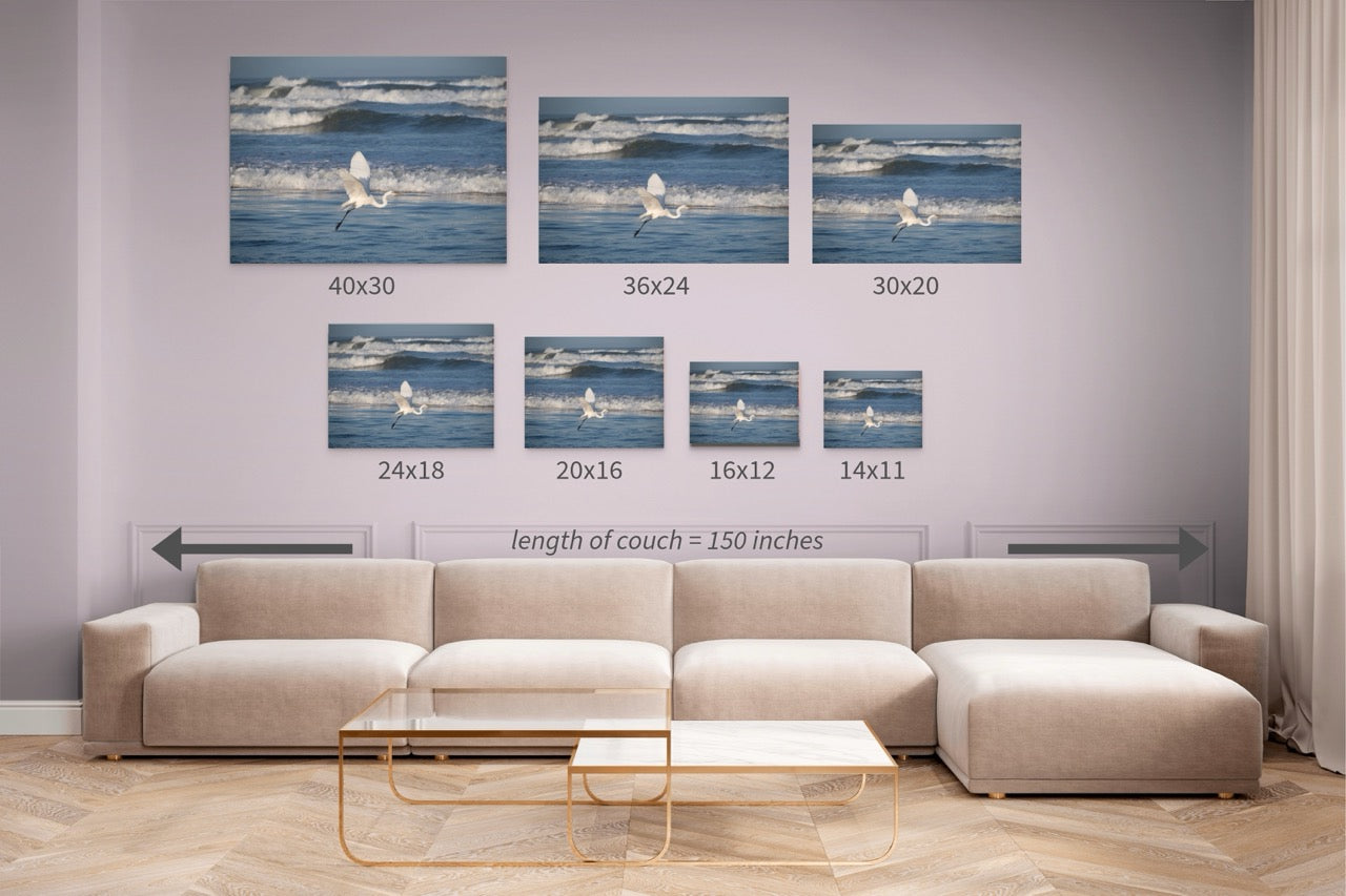 Living room with a beige sectional sofa and various sized wall art prints of a white egret in flight over the ocean.