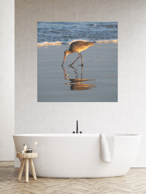 Canvas print of a long-billed curlew on the shoreline in a modern bathroom setting