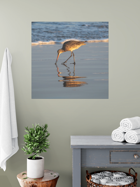 canvas print of a long-billed curlew on the shoreline in a room with a plant and towels.
