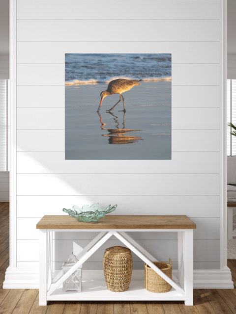 Canvas print of a long-billed curlew on the shoreline hanging on a white wall above a wooden bench.