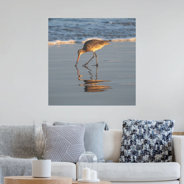 Canvas print of a long-billed curlew on the shoreline above a living room with a couch and decorative pillows.