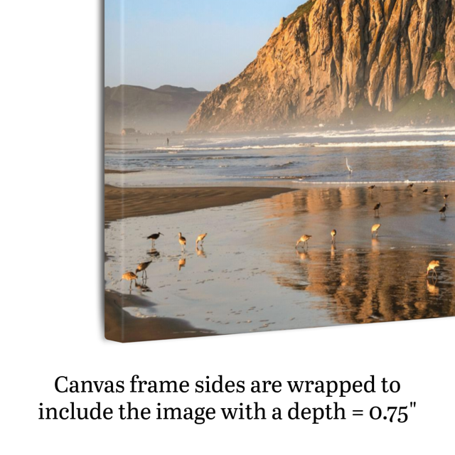 A canvas print of Morro Rock reflecting in the wet sand with birds on the shoreline shown on an angle to highlight side framing and depth.