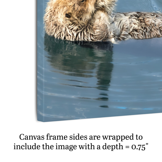 Canvas print of an otter in water with text about canvas frame depth.