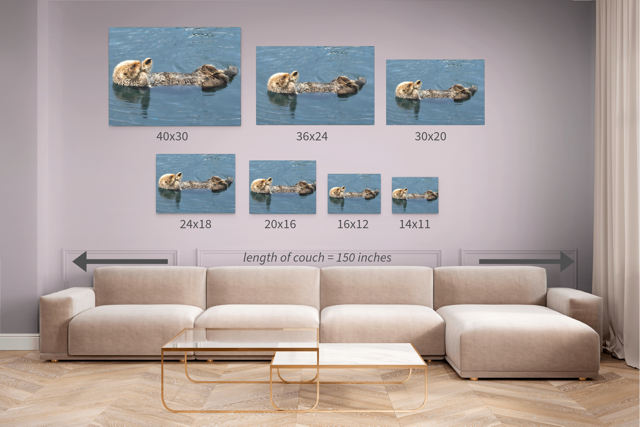 Wall art prints of a sea otter with size measurements above a beige sofa.