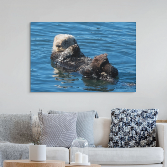 Canvas print of a sea otter in water hanging on a wall above a sofa.