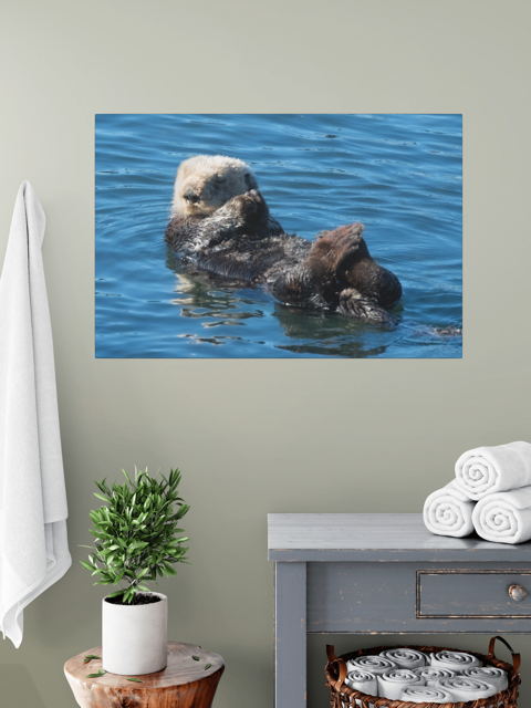 Canvas print of a sea otter in water hanging on a wall above a dresser with towels and a plant.