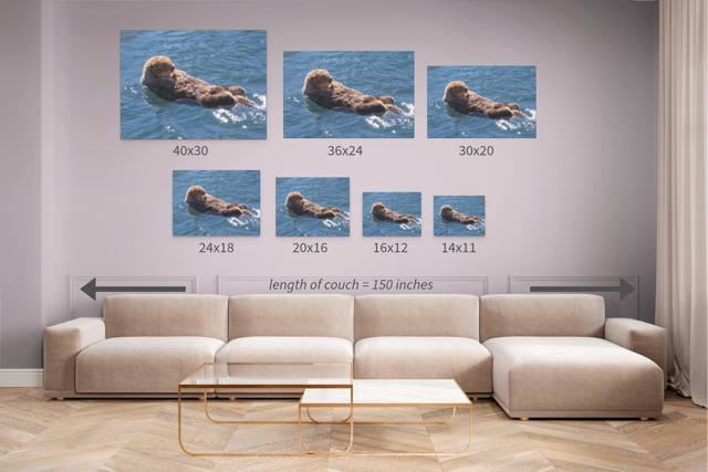 Living room with a sofa and coffee table, featuring wall art of a sea otter in water at different sizes.