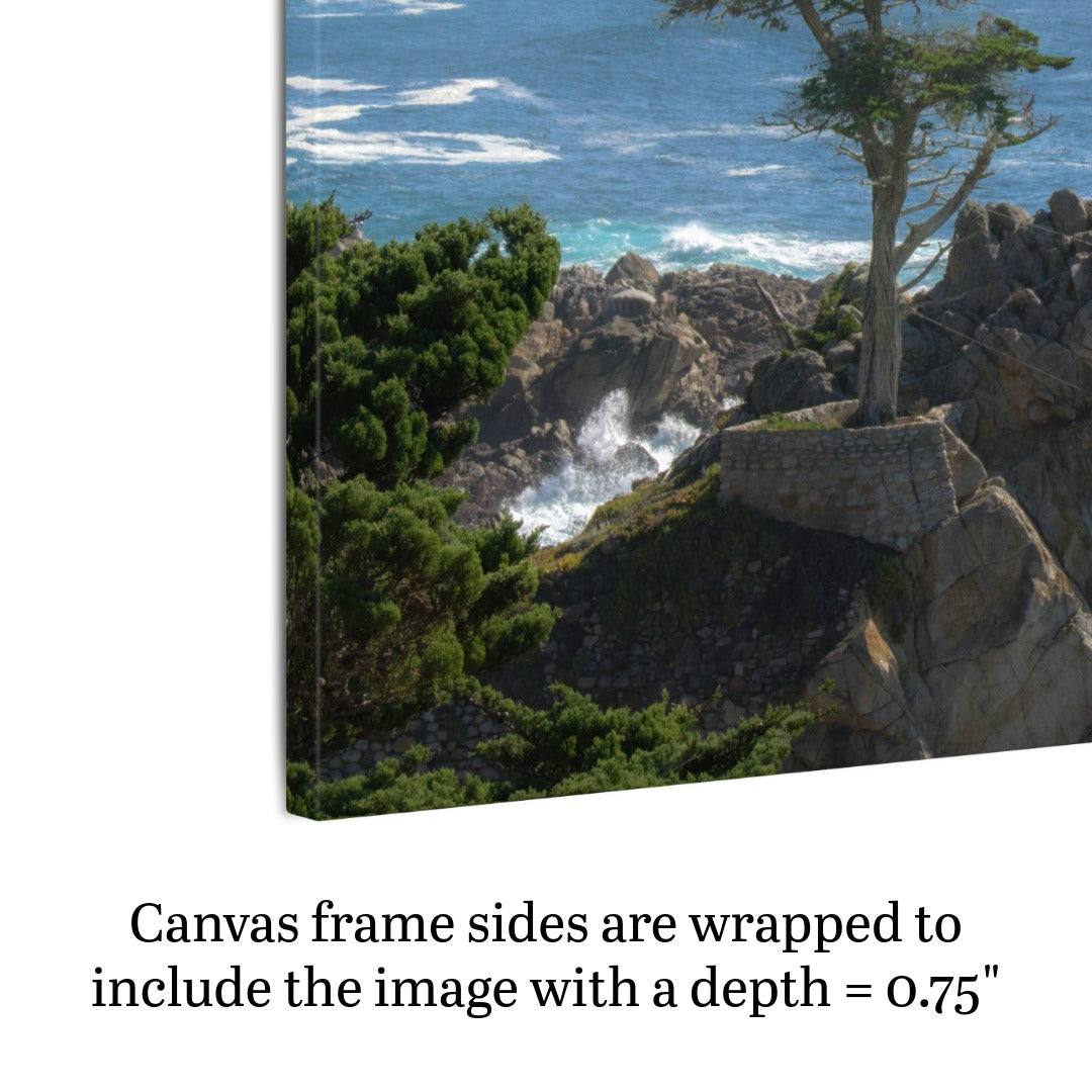Side view of a canvas print of the lone cypress tree at Pebble Beach on a rocky cliff, showing a 0.75" depth.