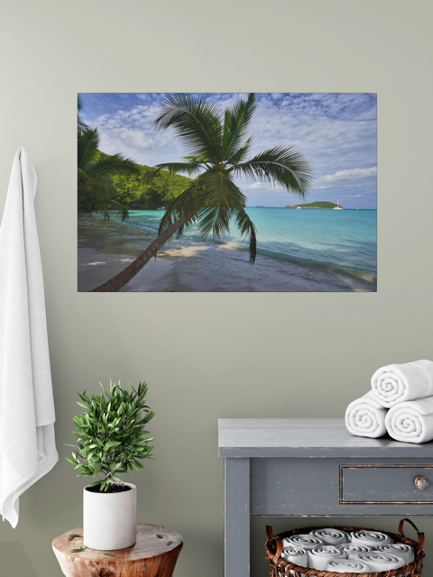 A canvas print of a tropical beach scene on a wall in a room with a plant and towels.