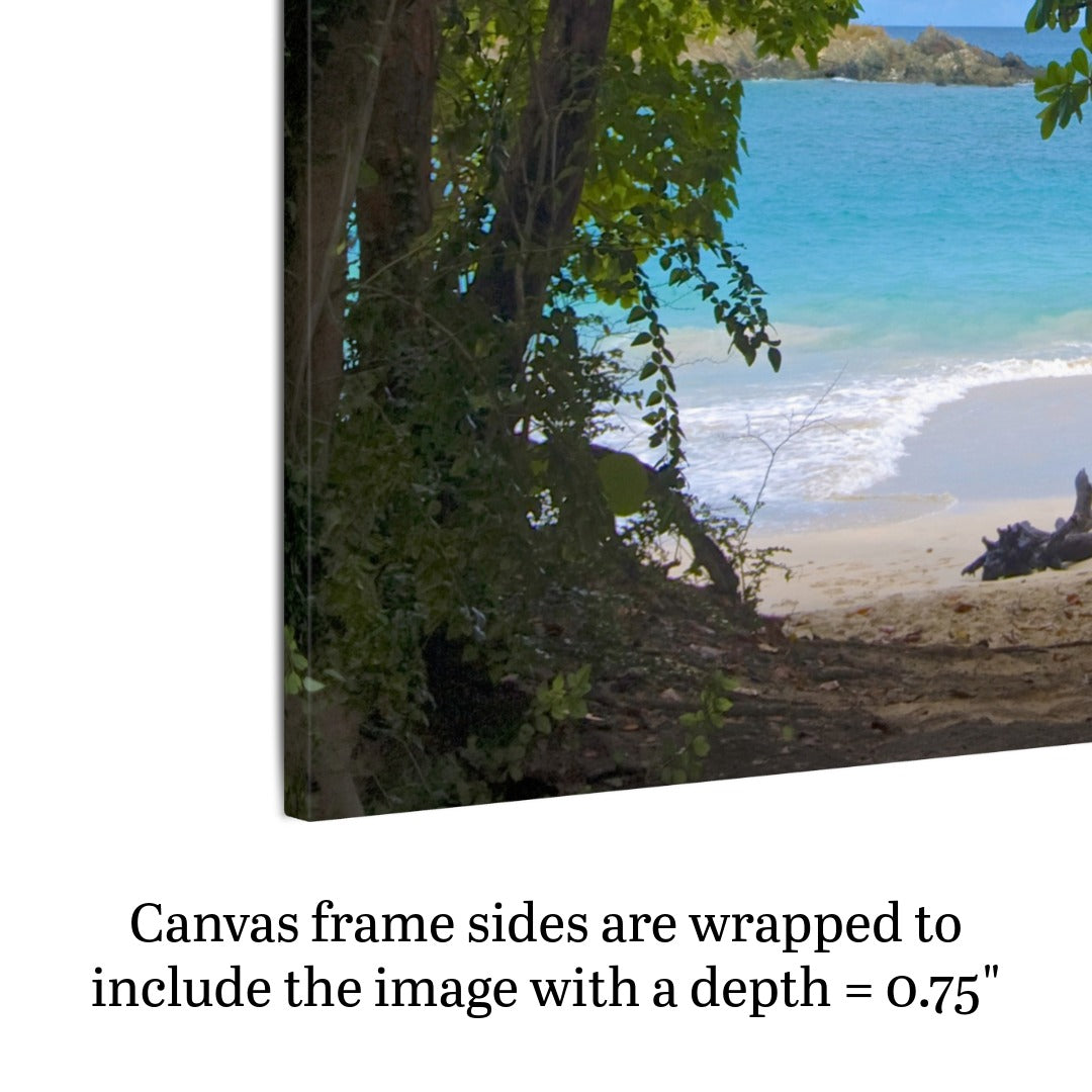 Tropical beach view through trees Hawaiian island canvas print, featuring text about canvas depth.