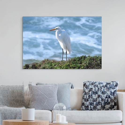 A canvas print of a white egret on a wall above a sofa.